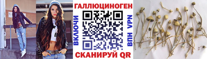 Псилоцибиновые грибы Cubensis  Купить  Дедовск 